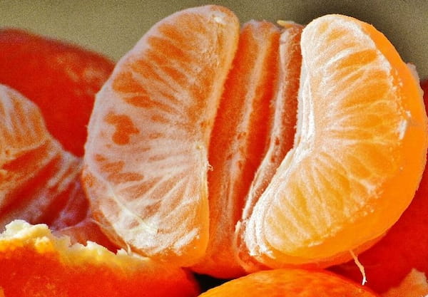 تصویر 2 از قیمت خرید نارنگی محلی مازندران + فروش ویژه